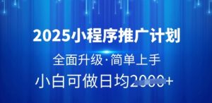 2025小程序推广计划,全面升级,简单上手,日均多张【揭秘】-互联网资源大全网