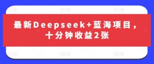 最新Deepseek+蓝海项目，十分钟收益2张-互联网资源大全网
