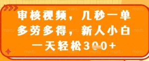 审核视频，几秒一单，多劳多得，新人小白一天轻松3张【揭秘】-互联网资源大全网