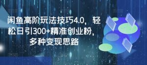 闲鱼高阶玩法技巧4.0,轻松日引300+精准创业粉,多种变现思路-互联网资源大全网