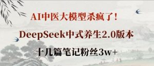 AI中医大模型杀疯了！DeepSeek中式养生2.0版本，十几篇笔记粉丝3w+-互联网资源大全网