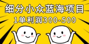 细分小众蓝海项目,一单利润3张,每月收入稳定过1w+-第一资源库
