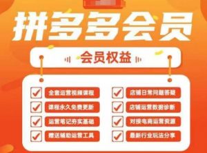 2025拼多多运营实战课,40节全流程教学,覆盖拼多多运营全链路-第一资源库