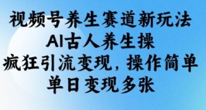 视频号养生赛道新玩法,AI古人养生操,疯狂引流变现,操作简单,单日变现多张-第一资源库