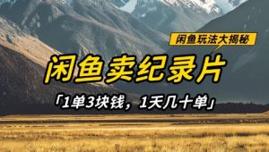闲鱼卖纪录片1单3块钱，1天几十单，项目稳定有潜力-互联网资源大全网
