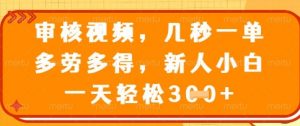 最新审核视频，几秒一单，多劳多得，新人小白一天轻松3张【揭秘】-互联网资源大全网