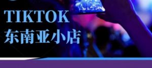 Tiktok东南亚跨境小店运营班,一门专业的TK小店运营培训课-互联网资源大全网