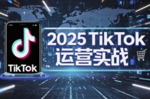 2025TikTok电商运营,掌握TikTok店铺运营核心技巧,实现低成本高转化-互联网资源大全网