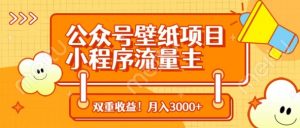 公众号壁纸项目，小程序流量主双收益，月入3000+-第一资源库
