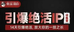引爆绝活IP训练营,14天引爆绝活,放大你的一技之长-互联网资源大全网