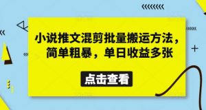 小说推文混剪批量搬运方法，简单粗暴，单日收益多张-互联网资源大全网