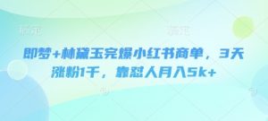即梦+林黛玉完爆小红书商单,3天涨粉1千,靠怼人月入5k+-互联网资源大全网