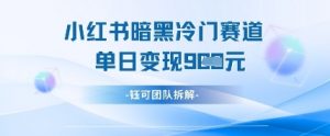 小红书冷门”暗黑”赛道，单日收益多张-互联网资源大全网