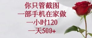 你只管截图,一部手机在家做,苹果安卓都可以,一小时120,一天5张+【揭秘】-第一资源库