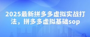 2025最新拼多多虚拟实战打法，拼多多虚拟基础sop-第一资源库