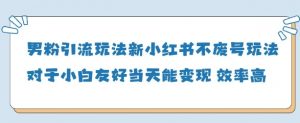 男粉引流玩法(新)，玩法友好做的好当天就能变现-互联网资源大全网