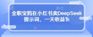 全职宝妈在小红书卖DeepSeek提示词,一天收益1k-互联网资源大全网