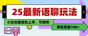 25年最新语聊玩法,纯手工,单机收益100+,小白也能轻松上手,可矩阵操作-互联网资源大全网