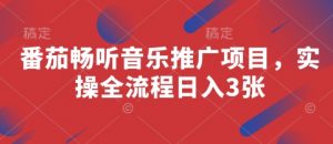 番茄畅听音乐推广项目，实操全流程日入3张-互联网资源大全网