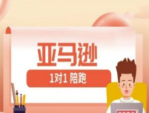 亚马逊1对1陪跑课(FBA/FBM精铺)跨境亚马逊教程-互联网资源大全网