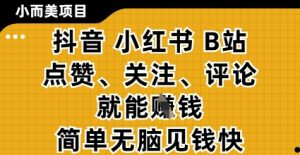 小而美的项目,抖音小红书B站视频点赞、关注、评论就能挣钱,简单无脑立见收益,妥妥的零撸项目【揭秘】-互联网资源大全网