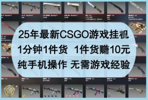 25年最新CSGO游戏挂G，1分钟1件货，1件货挣10元，纯手机操作，无需游戏经验【揭秘】-互联网资源大全网