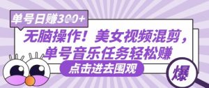 无脑操作!美女视频混剪,单号音乐任务轻松日入3张+-互联网资源大全网