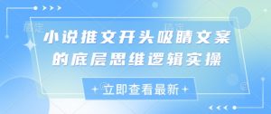小说推文开头吸睛文案的底层思维逻辑实操-互联网资源大全网