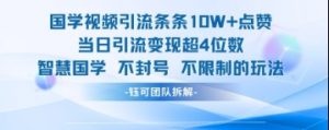 国学视频引流条条10W+点赞当日引流变现超4位数-互联网资源大全网