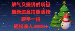 解气又挣钱的项目,最新违章拍照挣钱,随手一拍,轻松收入数张【揭秘】-互联网资源大全网