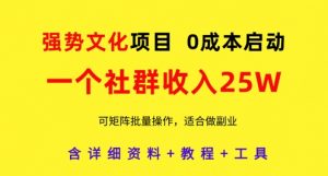 强势文化项目，一个社群收入25个W，0成本启动，可矩阵批量操作，原创详细实操教程-互联网资源大全网
