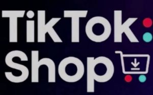 TikTokShop跨境电商0-1实战,手把手教你低成本启动海外市场(更新)-第一资源库