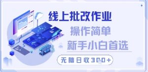 线上批改作业，操作简单新手小白首选，无脑日收300+【揭秘】-互联网资源大全网