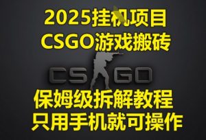2025挂G项目，CSGO游戏搬砖，保姆级拆解教程，只用手机就可操作【揭秘】-互联网资源大全网
