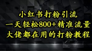 小红书打粉引流,一天轻松500+精准流量,大佬都在用的打粉教程-互联网资源大全网