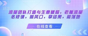流量团队打造与生意破局，老板流量必修课，抓风口，拿结果，能落地-互联网资源大全网