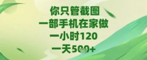 你只管截图，一部手机在家做，苹果安卓都可以，一天5张+【揭秘】-互联网资源大全网