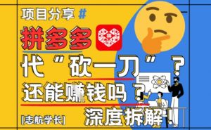 【2025最新】拼多多代坎助力项目深度拆解：还能挣钱吗?全流程玩法-互联网资源大全网