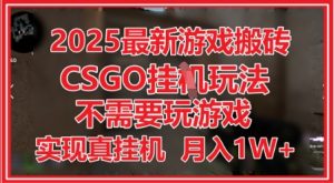 2025最新游戏搬砖,CSGO挂G,不需要玩游戏,实现真挂G,月入1W+【揭秘】-互联网资源大全网