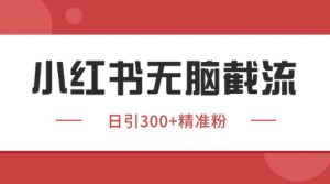 小红书只要你有同行就能获客，独家野路子获客玩法，暴力截流【揭秘】-互联网资源大全网