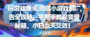 玩游戏挣米,微信小游戏刷广告全攻略,手把手教你变现秘籍,小白当天见效-互联网资源大全网