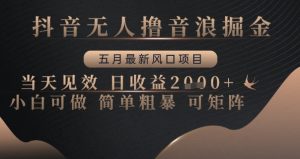 抖音无人撸音浪掘金，五月最新风口项目，当天见效，日收益多张，小白可做简单粗暴可矩阵【揭秘】-互联网资源大全网