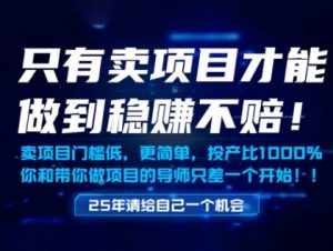 只有卖项目才能做到稳挣不赔，门槛低，更简单，你也可以年入百个W【揭秘】-第一资源库