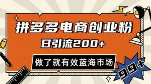 拼多多引流电商创业粉，日引200+，可矩阵放大，做了就有效【揭秘】-互联网资源大全网