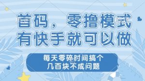首码，零撸模式，有快手就可以做，每天零碎时间搞个几张不成问题【揭秘】-互联网资源大全网