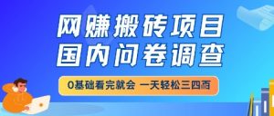 网创搬砖项目,国内问卷调查,小白轻松上手,一天三四张的也不难,干就完了【揭秘】-互联网资源大全网