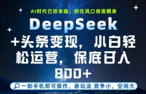 DeepSeek+头条变现,保姆级教学,小白轻松上手,日入8张+【揭秘】-互联网资源大全网
