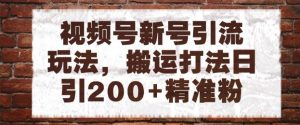 视频号新号引流玩法，搬运打法日引200+精准粉，可矩阵放大【揭秘】-互联网资源大全网