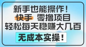 新手也能操作,快手零撸挣米,轻松每天挣2-5张,完全无成本-互联网资源大全网
