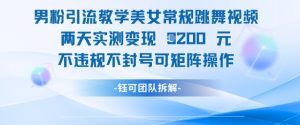 男粉引流教学美女常规跳舞视频两天实测变现1k+,不违规不封号可矩阵操作-互联网资源大全网